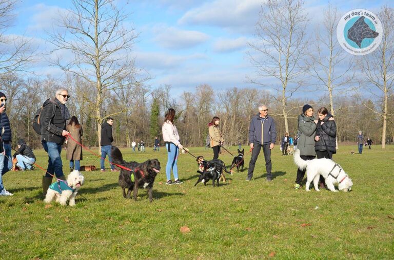 passeggiata didattica my dog's team 2