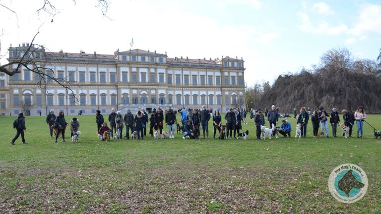 passeggiata-didattica-parco-di-monza