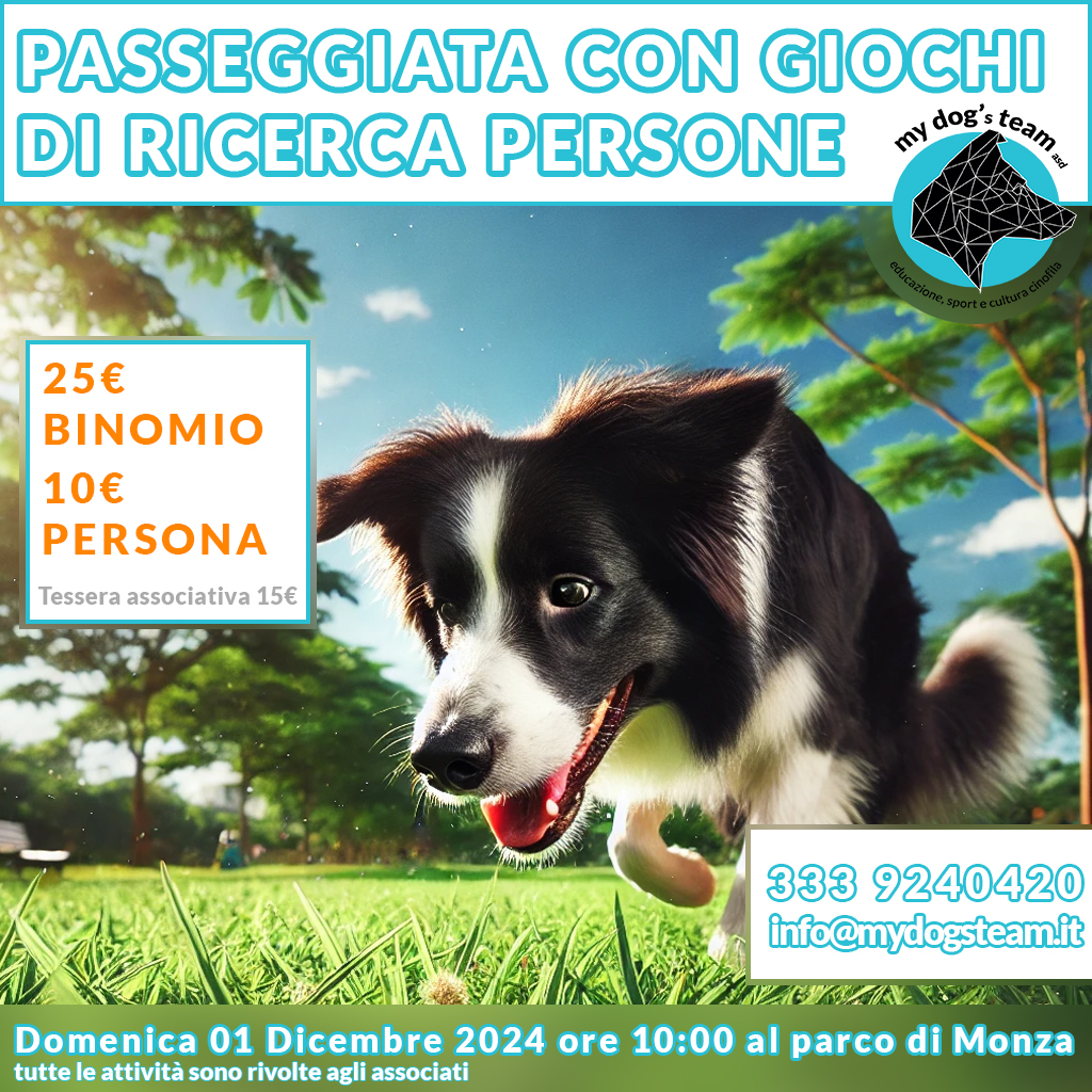 Passeggiata con giochi di ricerca persone